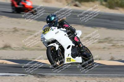 media/Nov-16-2025-Race Pace (Sun) [[8c5fa54630]]/Non Verified Riders (1st 20 Minutes)/2-Turn 10 (1010am)/